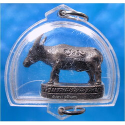 ควายธนูรุ่นแรก หลวงพ่อโทน วัดเขาน้อยคีรีวัน จ.ชลบุรี พ.ศ.๒๕๔๓