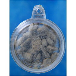 ข้าวสารหิน