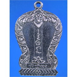 เหรียญหลวงพ่อหนม วัดกุฎีทอง อยุธยา พ.ศ.2516