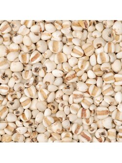 (ขายส่ง) ลูกเดือยเม็ด Job's tear 2 ขนาด greenpea