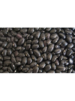 (ขายส่ง) ถั่วดำเม็ด Black bean greenpea 2 ขนาด