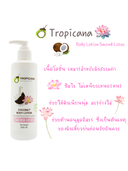 Tropicana โลชั่น น้ำมันมะพร้าว และ สารสกัดจากดอกบัว coconut body lotion sacreed lotus ขนาด 240 ml. Non Paraben ให้ความชุ่มชื่นแก่ผิว