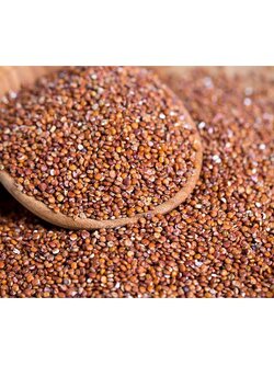 (ขายส่ง) ควินัวแดง Organic Red Quinoa 2 ขนาด greenpea