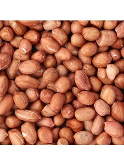 (ขายส่ง) ถั่วลิสง Peanut 2 ขนาด greenpea