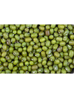 (ขายส่ง) ถั่วเขียวเม็ด Mung bean 2 ขนาด greenpea