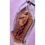 เหรียญหลวงปู่ดำเนิน วัดสะอาดสามัคคีธรรม จ.สกลนคร