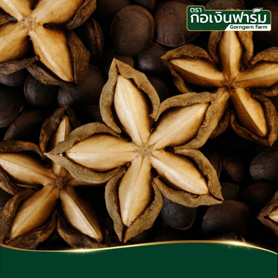 ซื้อ2แถม1 Gorngern Farm Sacha Inchi Oil น้ำมันถั่วดาวอินคา บรรจุ 60 แคปซูล ชนิด ซอฟเจล ทานง่าย ฮาลาล มีโอเมก้า กอเงินฟาร์ม