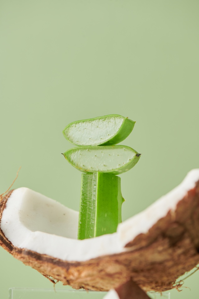 Tropicana coco & aloe gel เจลน้ำมันมะพร้าว และ ว่านหางจระเข้ สำหรับบำรุงผิว ชุ่มชื้นและฟื้นฟู ผิวหลังออกแดด ขนาด 100 กรัม Non Paraben