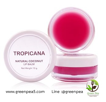 NATURAL COCONUT LIP BALM 10 G.NON-PARABEN ลิปบาล์มน้ำมันมะพร้าว Tropicana
