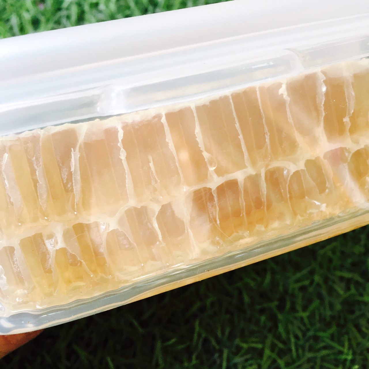 รวงผึ้ง,รังผึ้ง,รวงผึ้งจากธรรมชาติ 100% รังผึ้งหวานๆอร่อยๆ ปราศจากตัวอ่อนผึ้ง ###กรุณาเลือกส่งแบบเคอรี่(KERRY)เท่านั้น###