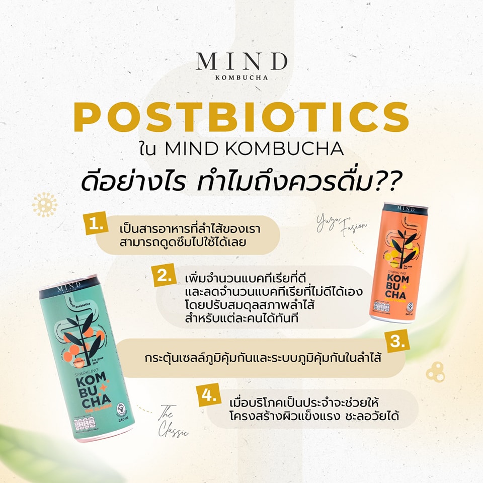 MIND KOMBUCHA Sparkling คอมบูชะ สปาร์คกลิ้ง ขนาด 240 ml สูตรน้ำตาลน้อย