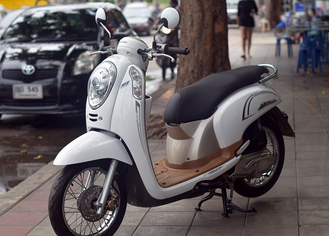 (( ขายแล้วครับ )) scoopy i ขอบคุณๆพ่อน้องสุ ที่มาอุดหนุนครับ