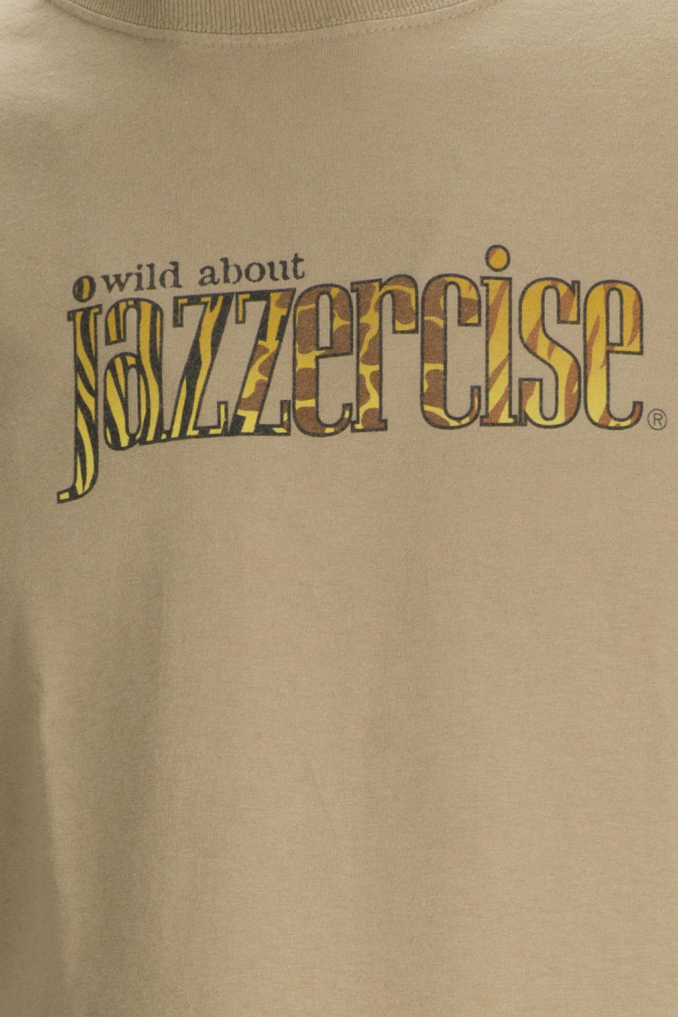 เสื้อยืดมือสองวินเทจ 90's ANVIL : WIDE ABOUT JAZZERCISE ผ้า 100 คอตตอน