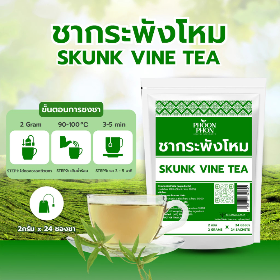 PHOONPHON Skunk Vine Tea ชากระพังโหม 2gX24ซองชา ชาสมุนไพร กลิ่นหอมชัด พูนผล