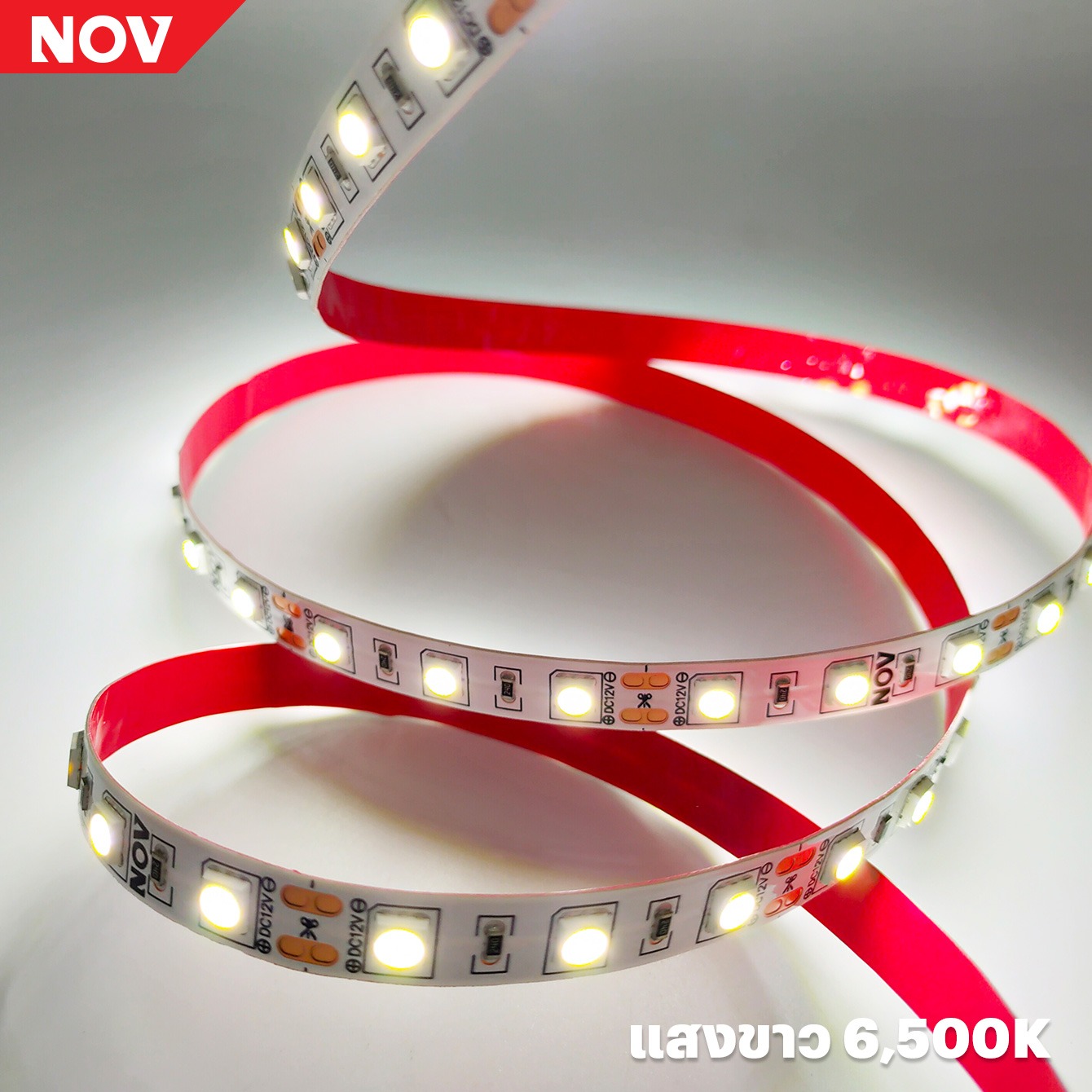PROMAX PMV02 (XT-5050-60-12) ไฟเส้น LED Strip คุณภาพดี ประกัน 1 ปี (สีขาว/สีวอร์ม)