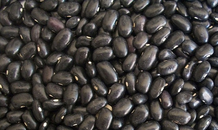 (ขายส่ง) ถั่วดำเม็ด Black bean greenpea 2 ขนาด
