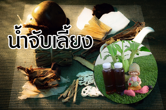 น้ำจับเลี้ยง