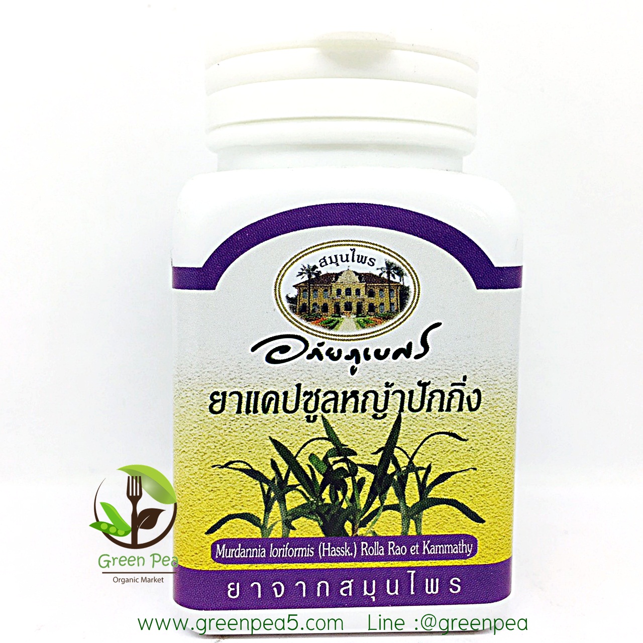 อภัยภูเบศร แคปซูลหญ้าปักกิ่ง เสริมสร้างภูมิคุ้มกัน บำรุงร่างกาย แก้ไข้ แก้ร้อนใน แก้น้ำเหลืองเสีย