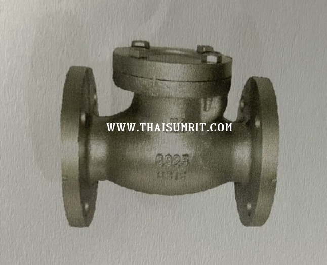สวิงเช็ควาวล์เหล็กหล่อ หน้าแปลน 10k Cast iron Swing Check Valve 10k
