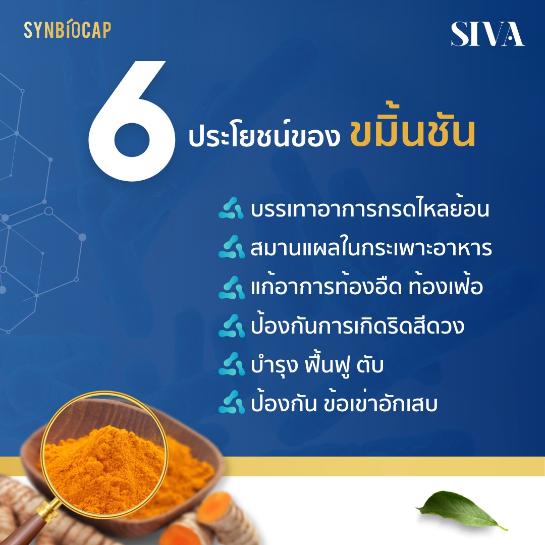 SIVA Synbiocap ซินไบโอแคป ผสมขมิ้นชัน และ ขิง นวัตกรรมใหม่ 4 IN 1 Synbiotic ขนาด 15 แคปซูล บรรเทาอาการท้องอืด ท้องเฟ้อ อาหารไม่ย่อย