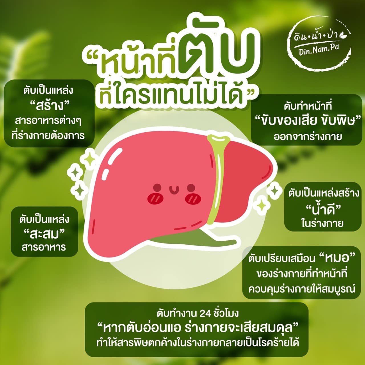 ดิน น้ำ ป่า Oganic Farm น้ำกลั่น ลูกใต้ใบ หอมกลิ่นใบเตย ทานได้ง่ายขึ้น ขนาด 1100 ml