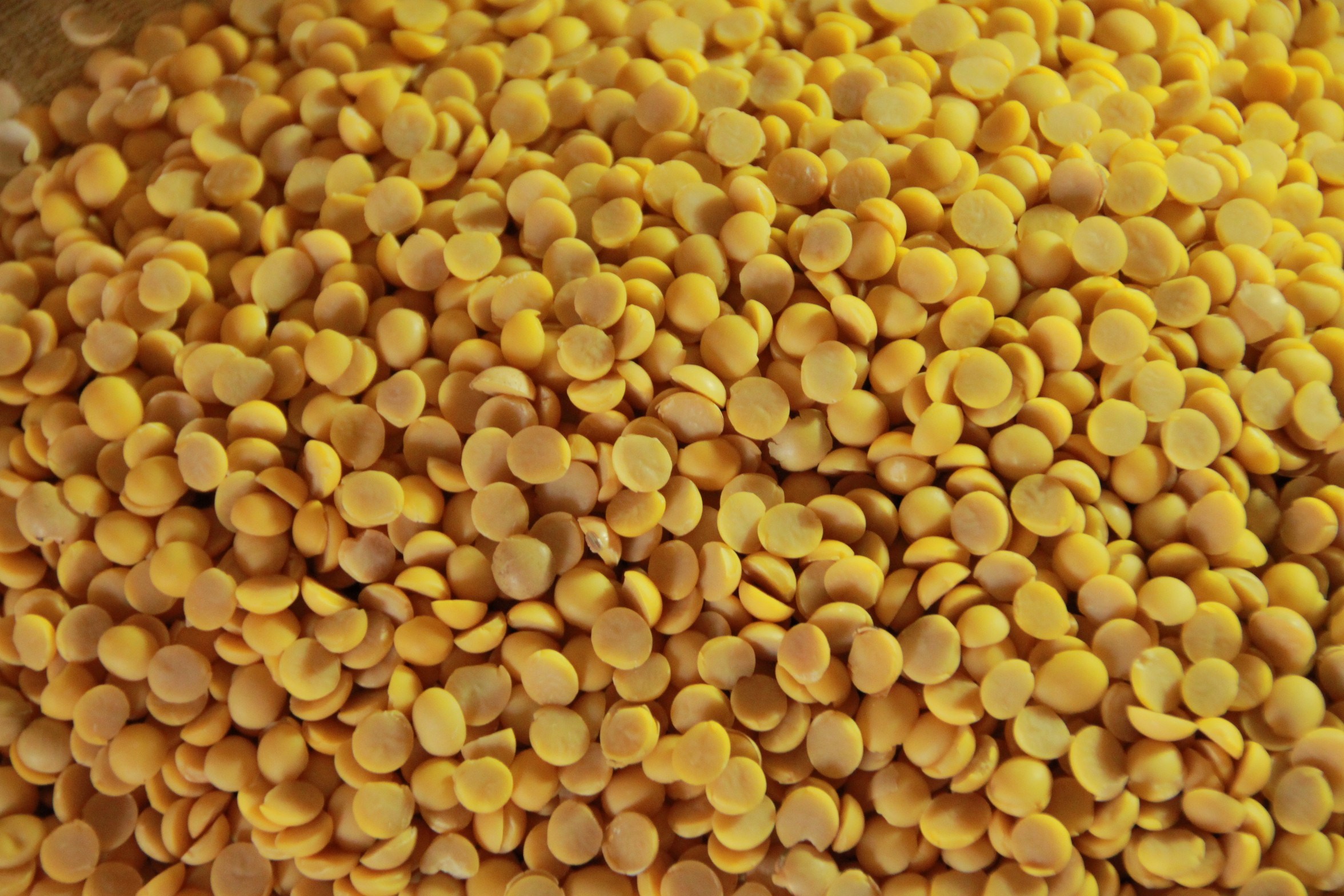 Summer grains ถั่วเหลืองซีก ถั่วเหลือง 500g. Splited Soy Bean NON-GMO