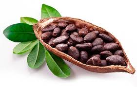 Navitas Organics,คาเคา พาวเดอร์ Organic Cacao Powder, 8 oz (227 g)