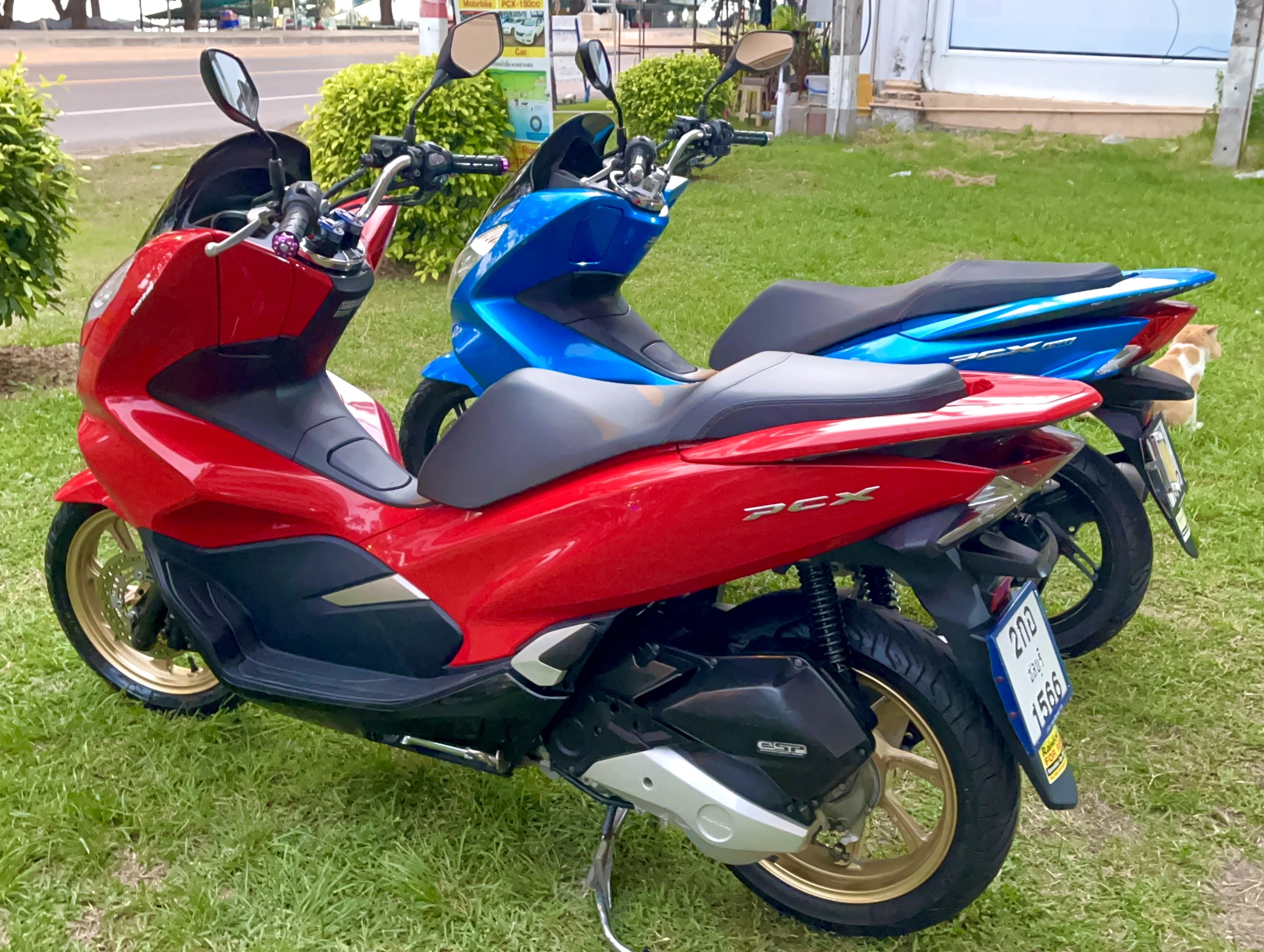 มอเตอร์ไซด์ PCX-150cc ให้เช่าคะ วันละ 350 บาท PCX for Rent 350 Baht per Day