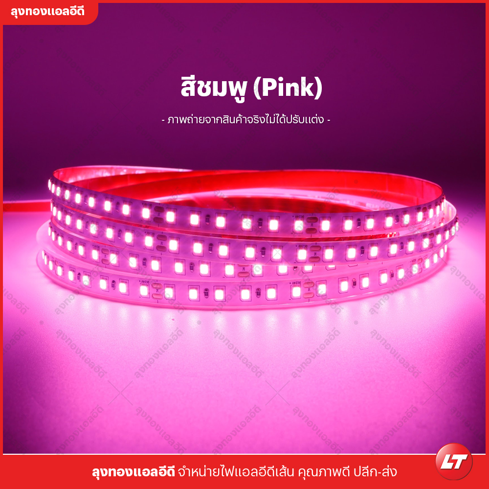 ไฟเส้น led Navigate M80 รุ่นประหยัด smd2835 24v 8w 120 led ยาวม้วนละ 10 เมตร แสงไม่หรี่ปลาย