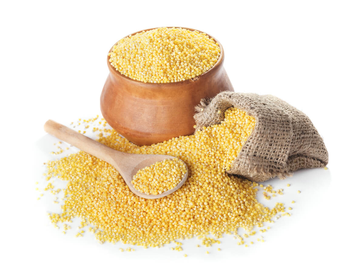 greenpea ข้าวฟ่าง ชนิดผง อินทรีย์ 250กรัม Millet powder