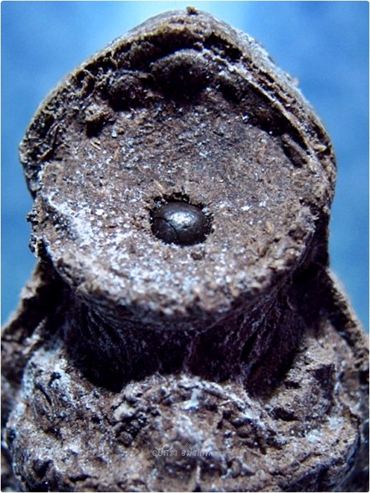 เศียรพ่อแก่เนื้อผงว่าน หลังยันต์ ไม่ทราบที่จัดสร้าง