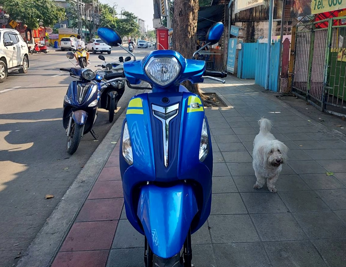 (ปิดการขาย) grand filano น้ำเงิน