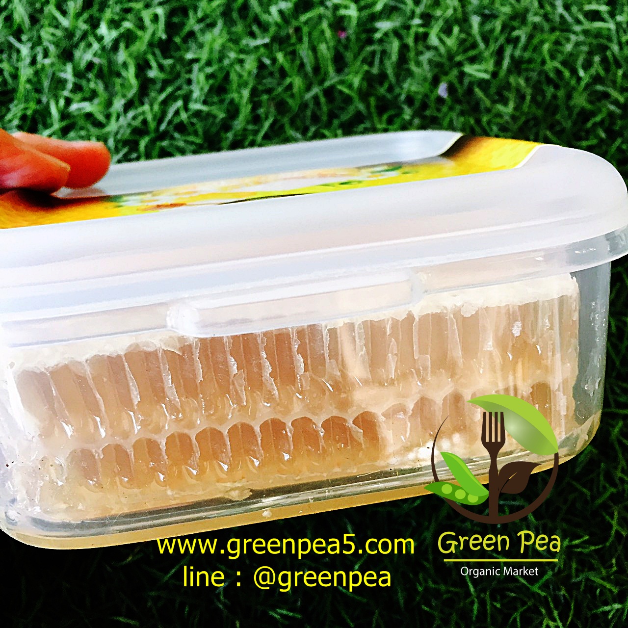 รวงผึ้ง,รังผึ้ง,รวงผึ้งจากธรรมชาติ 100% รังผึ้งหวานๆอร่อยๆ ปราศจากตัวอ่อนผึ้ง ###กรุณาเลือกส่งแบบเคอรี่(KERRY)เท่านั้น###