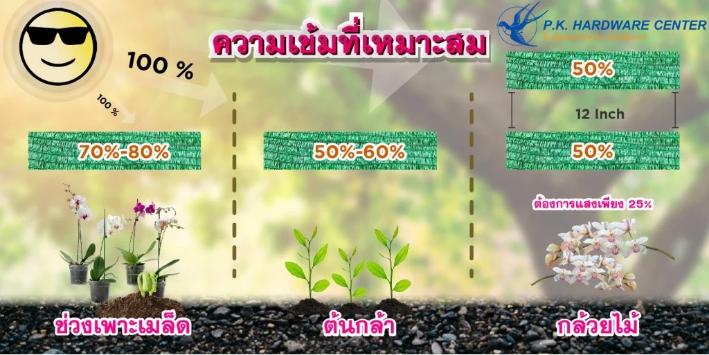 ความเข้มของสแลน