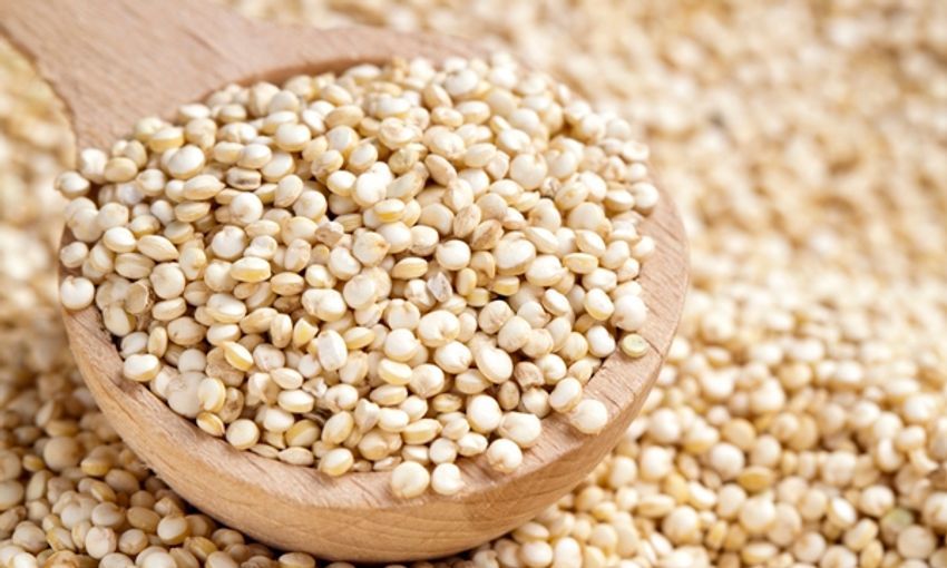 (ขายส่ง) ควินัวขาว Organic White Quinoa 2 ขนาด greenpea