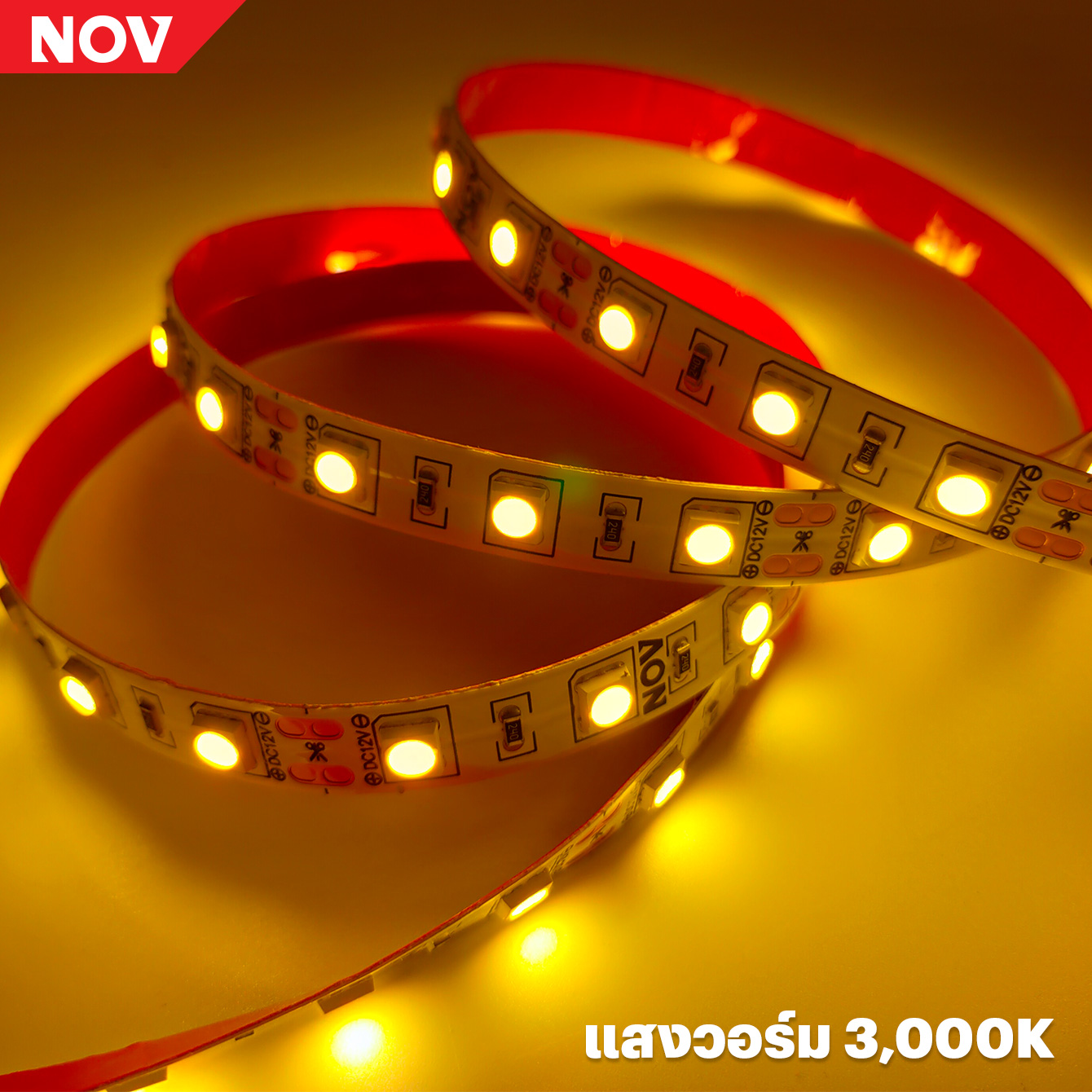 PROMAX PMV02 (XT-5050-60-12) ไฟเส้น LED Strip คุณภาพดี ประกัน 1 ปี (สีขาว/สีวอร์ม)
