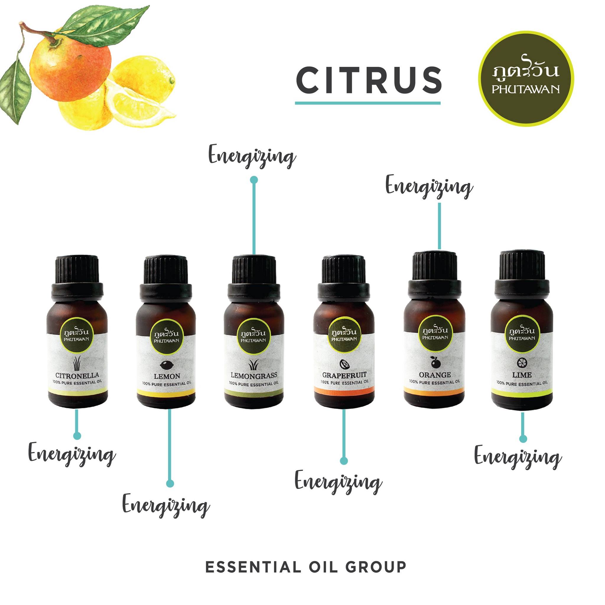 Phutawan Essntial Oil ขนาด 15 ml. น้ำมันหอมระเหย ภูตะวัน