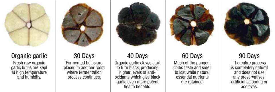 (500g 2 กล่อง) B-Garlic กระเทียมดำ ( Black Garlic) ปริมาณ 500 กรัม