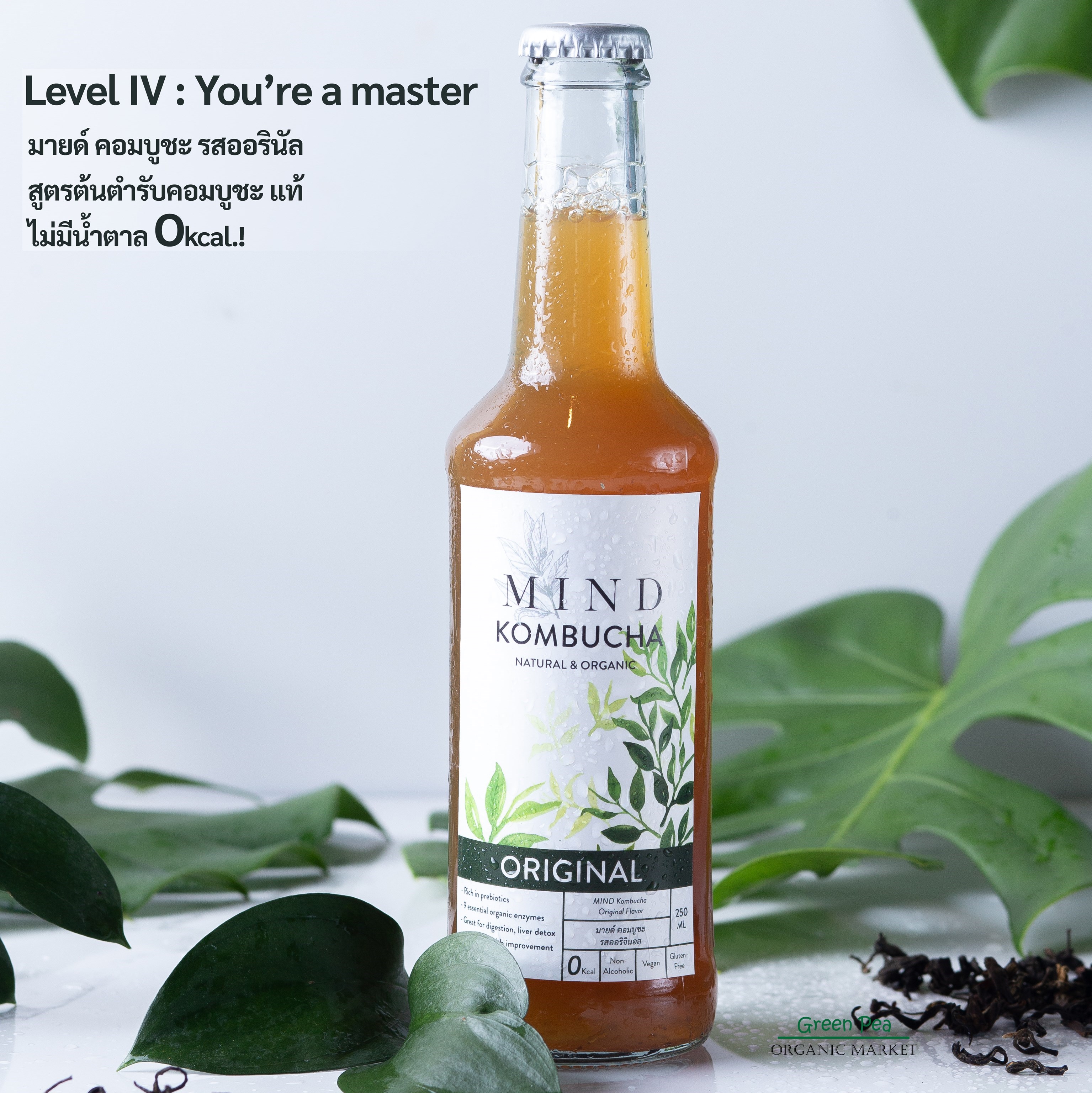 Mind Organic Kombucha, มายด์ คอมบูชะ ,คอมบูชะต้นตำรับ 5 รสชาติ , 250 มล. มีอย.