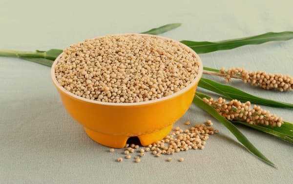เมล็ดข้าวฟ่าง อินทรีย์ 500กรัม Millet powder greenpea