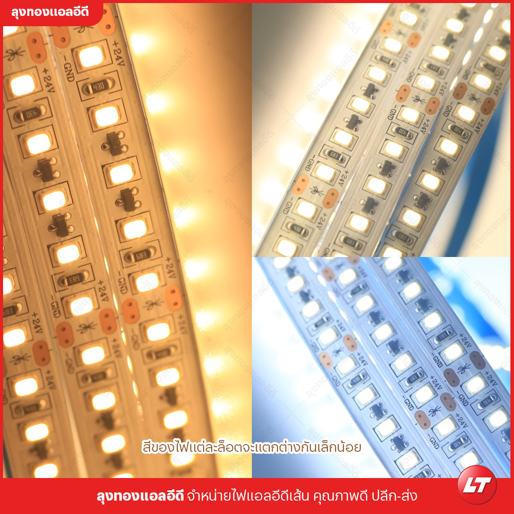 NOV REXA RST01 24v ไฟเส้น LED 2835 แบบมีป้องกันไฟกระชาก ยาวม้วนละ 20ม แสงไม่หรี่ปลาย