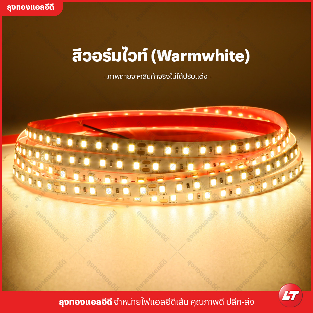 ไฟเส้น led Navigate M80 รุ่นประหยัด smd2835 24v 8w 120 led ยาวม้วนละ 10 เมตร แสงไม่หรี่ปลาย