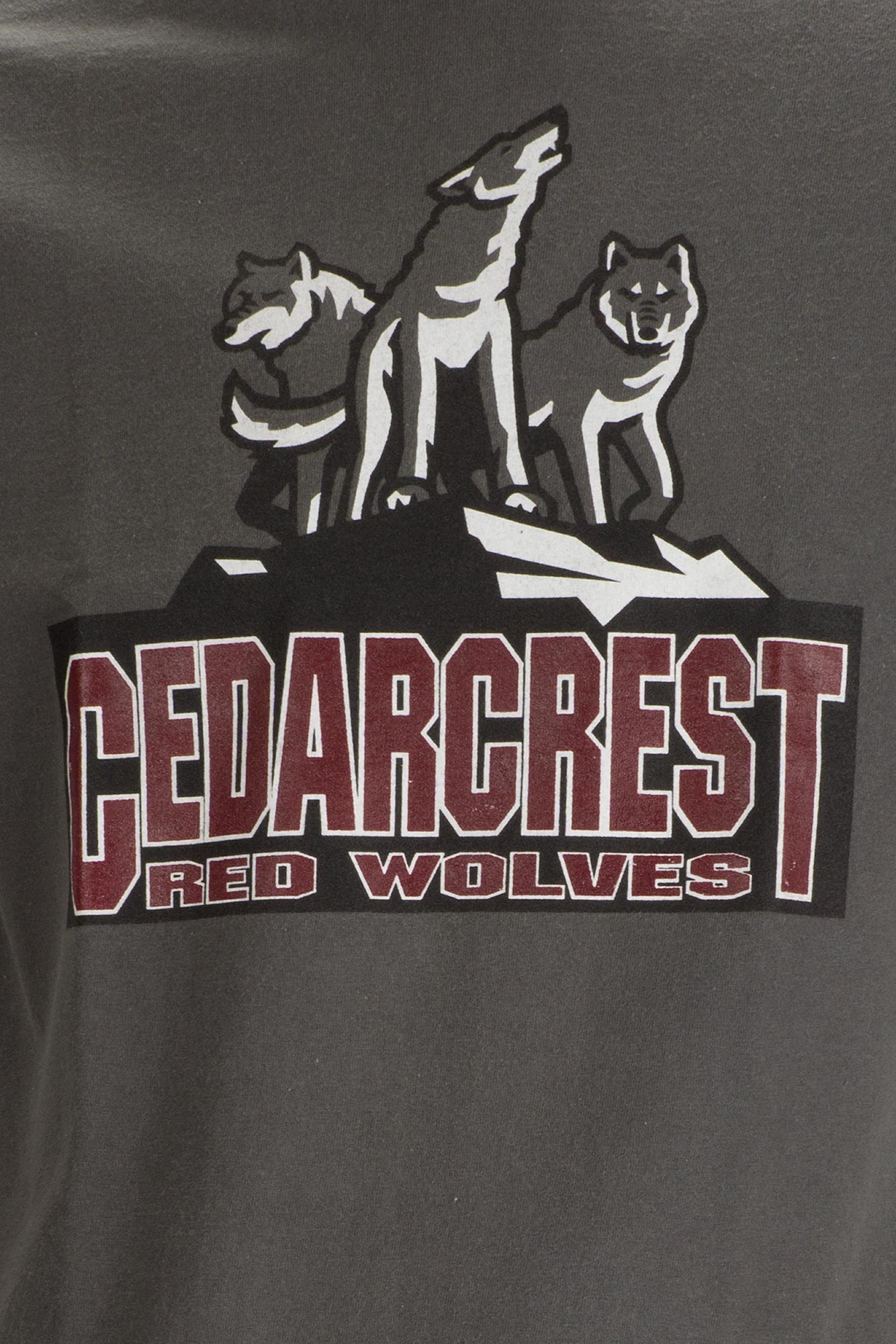 เสื้อยืดบาสเกตบอล มือสอง CEDAR CREST RED WOLVES ผ้า 100 คอตตอน