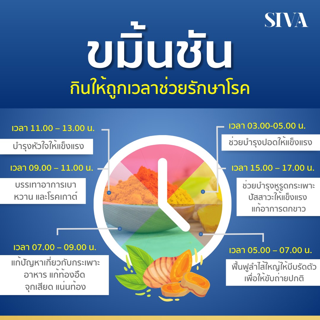 SIVA Synbiocap ซินไบโอแคป ผสมขมิ้นชัน และ ขิง นวัตกรรมใหม่ 4 IN 1 Synbiotic ขนาด 15 แคปซูล บรรเทาอาการท้องอืด ท้องเฟ้อ อาหารไม่ย่อย