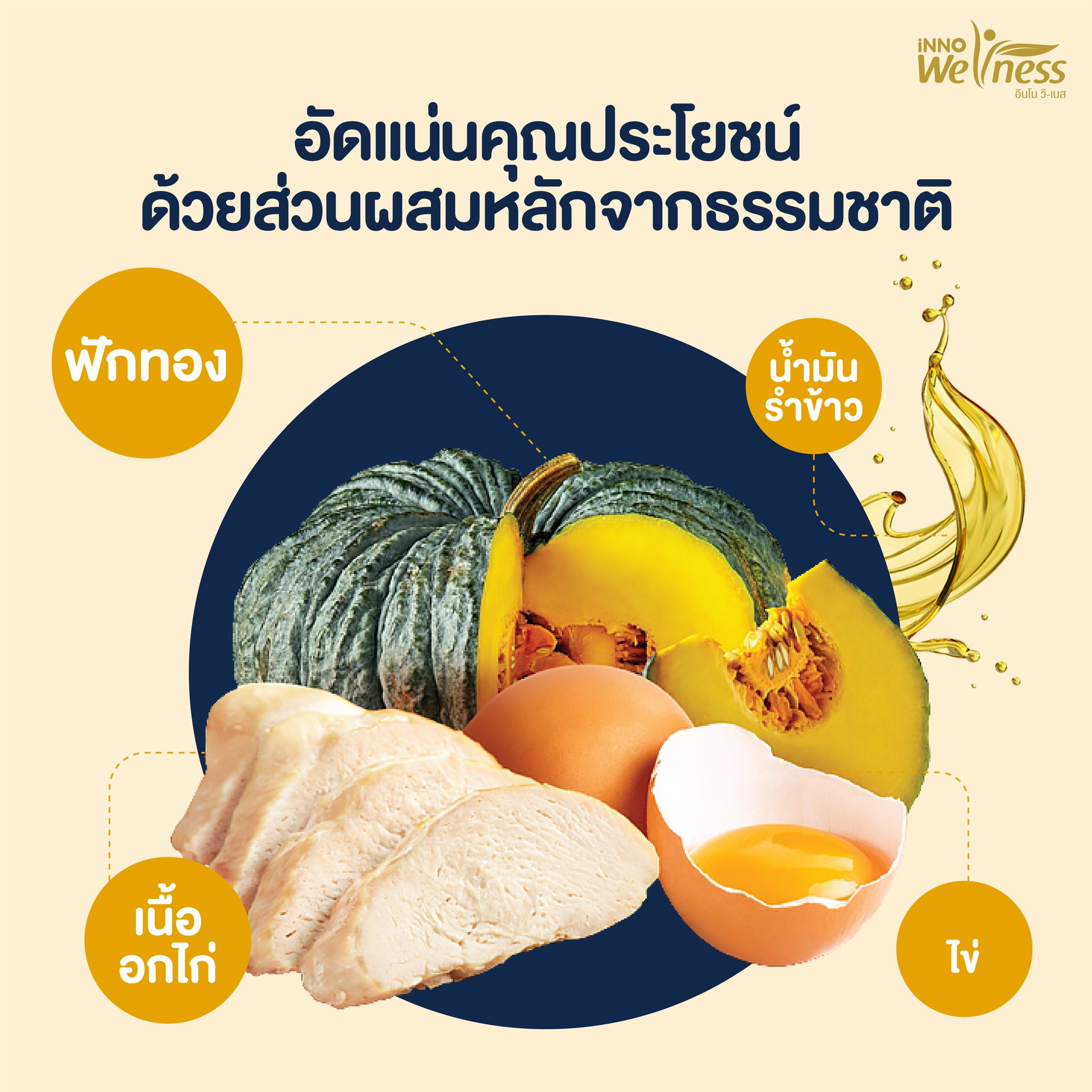 InnoWeness NutriMax อาหารทางการแพทย์ สูตรรพ.รามาธิบดี ครบถ้วนสารอาหาร ขนาด 300 กรัม พร้อมรับประทาน โปรตีนจากอกไก่และไข่