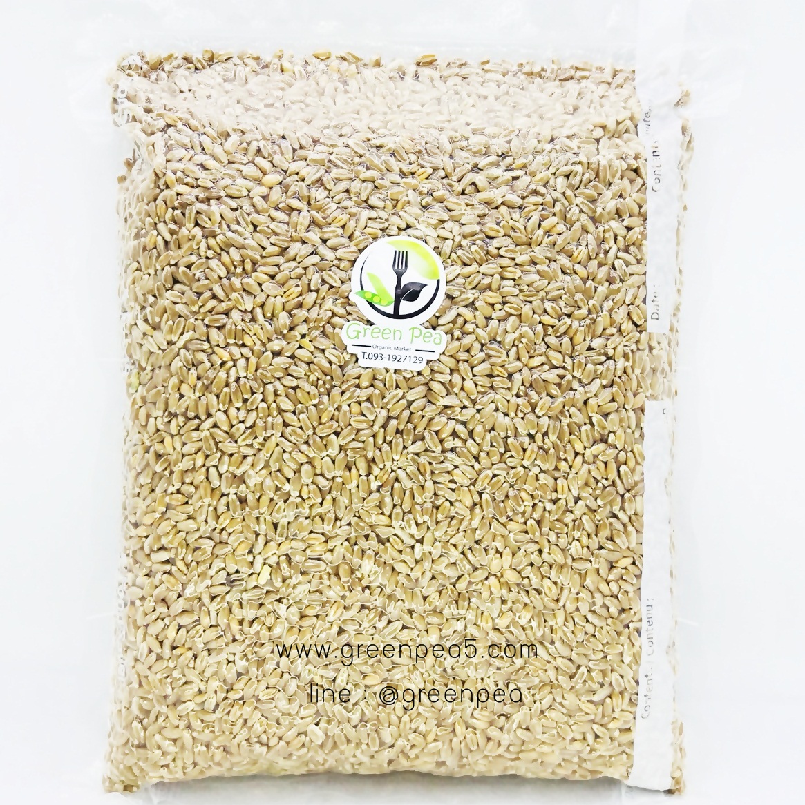 เมล็ดต้นอ่อนข้าวสาลี Organic 1 kg.ปลอดสารพิษ ไม่ผ่านการพ่นยากันมอดเป็นเมล็ดพันธุ์ใหม่สำหรับนำไปปลูกได้ %การงอก 90%ขึ้นไป