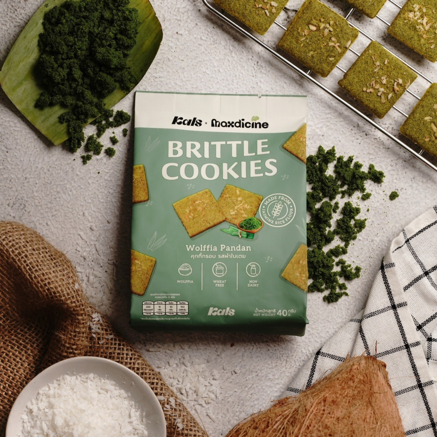 Kals Brittle Cookies คุกกี้ กรอบ 40 กรัม คุกกี้กรอบ ไม่มีไขมันทรานส์ ไม่มีคอเลสเตอรอล ทานเพลิน บางกรอบ