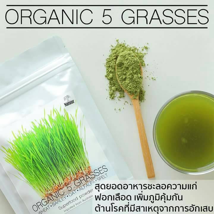 NATUUR YOUNG 150g. เครื่องดื่มต้นอ่อนข้าวสาลีผสมใบอ่อนข้าวบาร์เลย์และอัลฟัลฟ่าผง