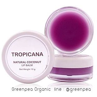 ลิปบาล์ม Tropicana น้ำมันมะพร้าว สูตร NON PRESERVATIVE กลิ่นBluberry ขนาด 10 G