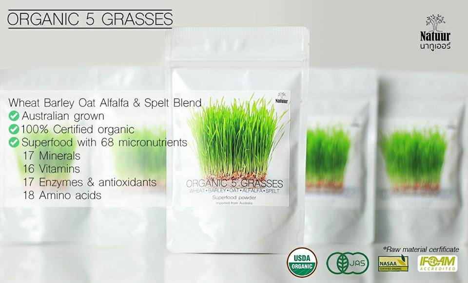 NATUUR YOUNG 150g. เครื่องดื่มต้นอ่อนข้าวสาลีผสมใบอ่อนข้าวบาร์เลย์และอัลฟัลฟ่าผง